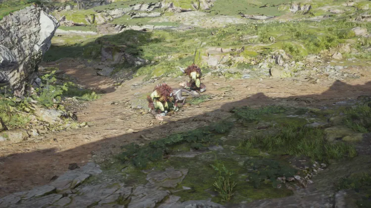 Orcs & Grassland Wolf