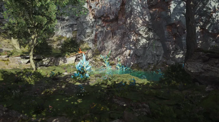 Grasswastes Lifespring