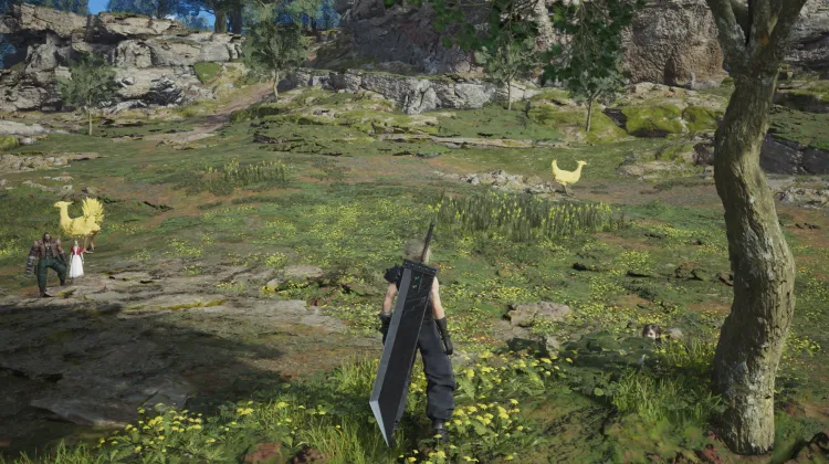 All-Rounders of the Grasslands