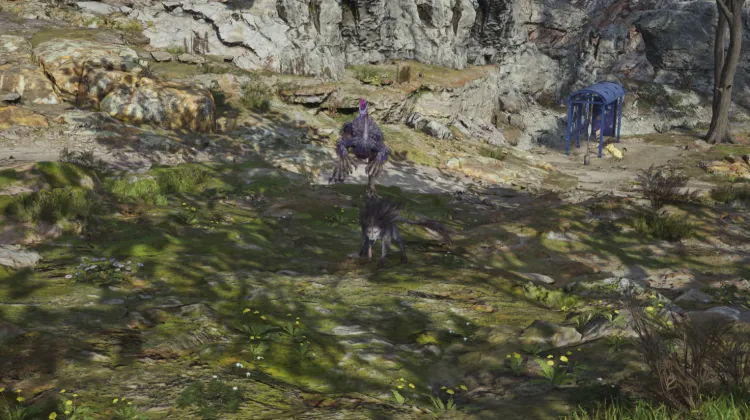 Levrikon & Grassland Wolf