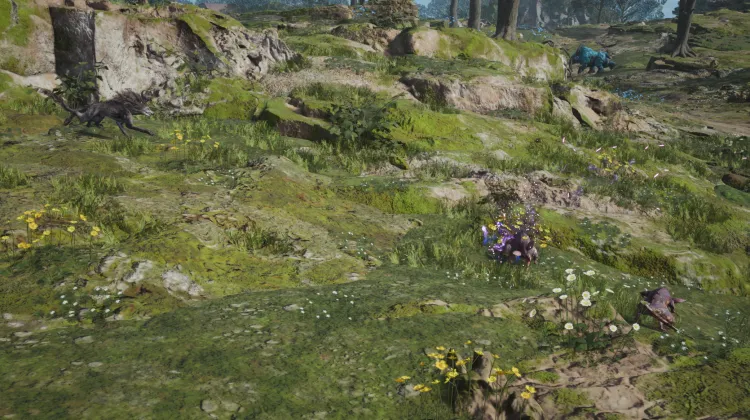 Toxirat & Grassland Wolf