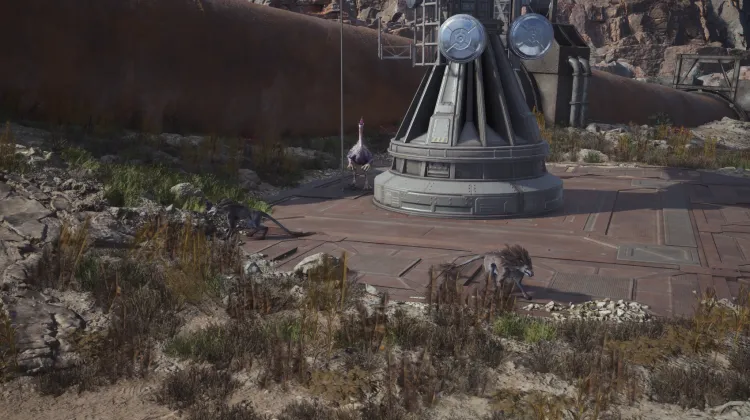 Levrikon & Grassland Wolf