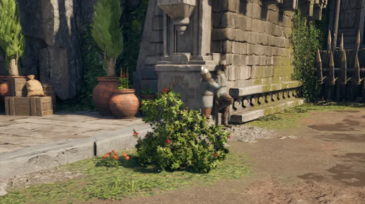 สปริงเบอร์รี่