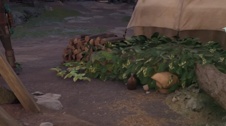 ไวน์แห่งความอุดมสมบูรณ์