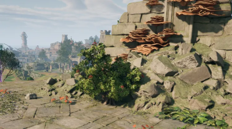 สปริงเบอร์รี่