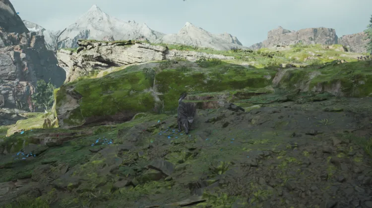 Toxirat & Grasslands Wolf