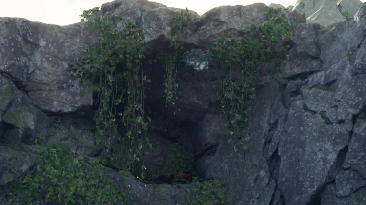 พรของแมกแรน