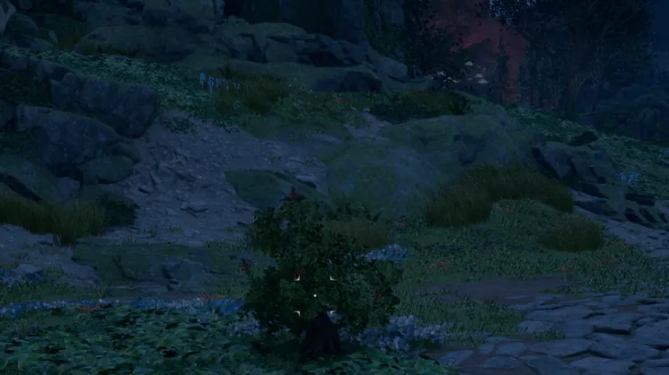 สปริงเบอร์รี่