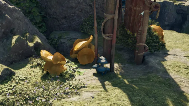 สเคนโบน