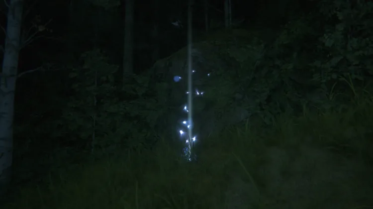 ไอเทมหยิบเก็บ