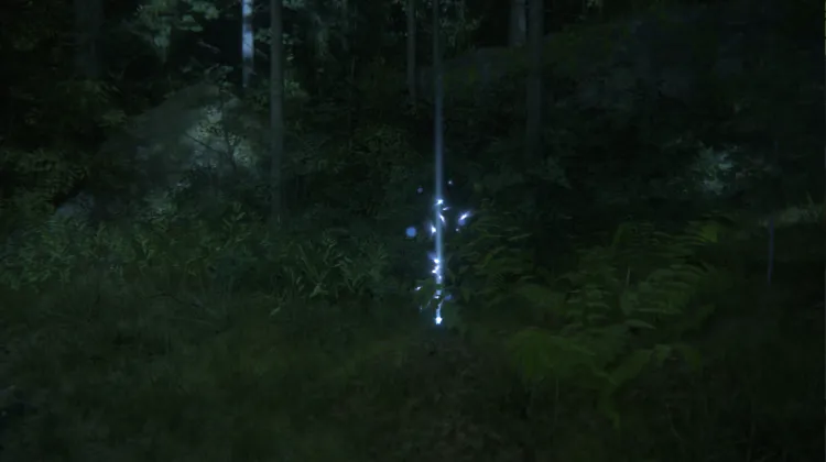 ไอเทมหยิบเก็บ