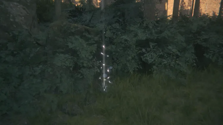 ไอเทมหยิบเก็บ