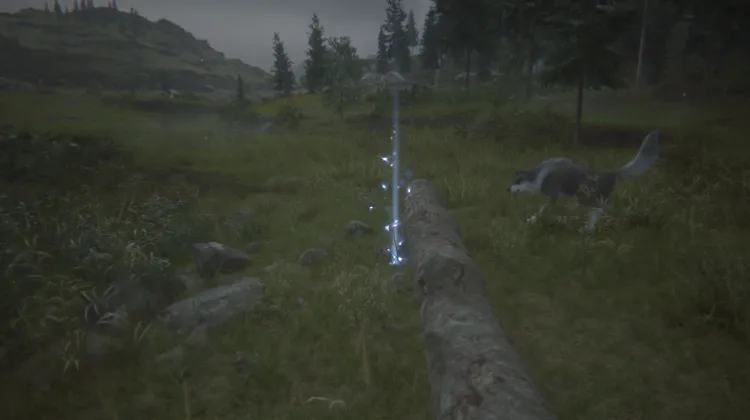 ไอเทมหยิบเก็บ