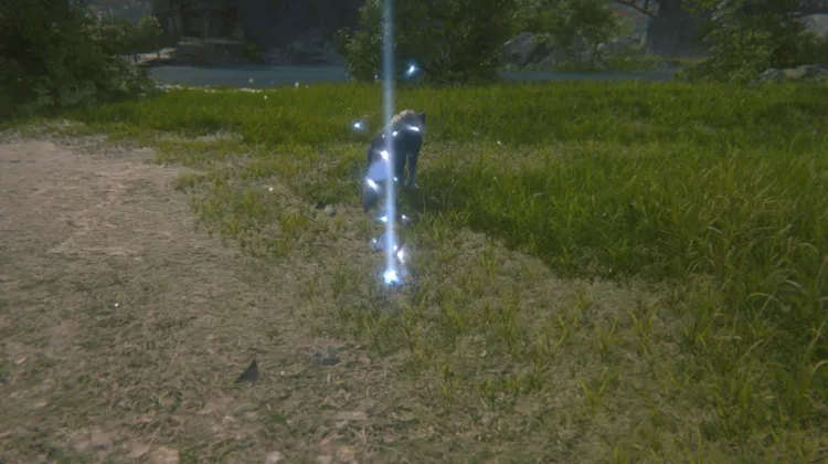 ของรางวัล