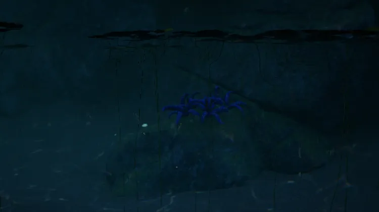 เขากรากเค่น