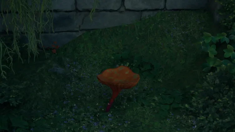 พรของแมกแรน