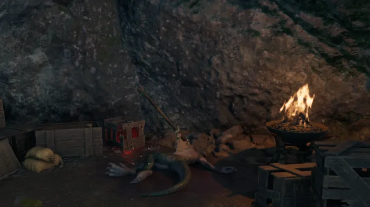 ยาฟื้นฟูสุขภาพ