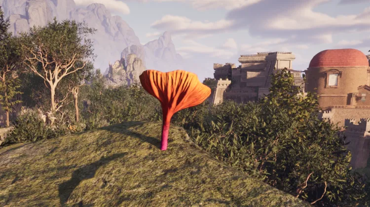 พรของแมกแรน