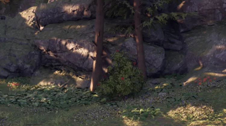 สปริงเบอร์รี่