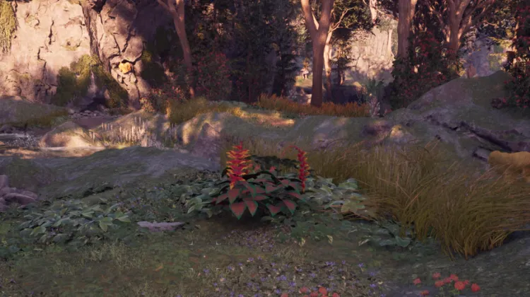 स्वर्गीय सीढ़ी