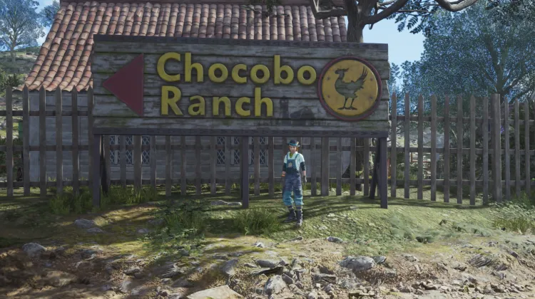 No. 1 Fledgling Chocobo Jockey