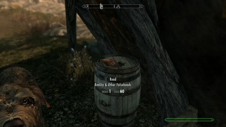 Reality and other falsehoods