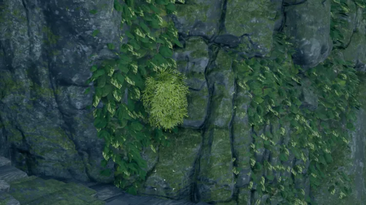 ขนของฮันต์