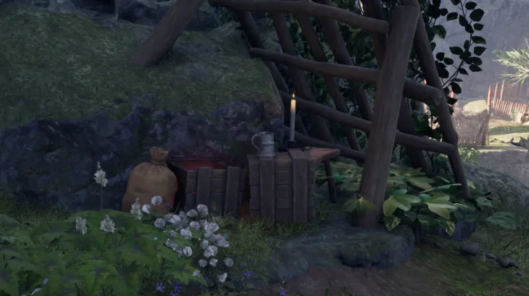 ยาฟื้นฟูสุขภาพ