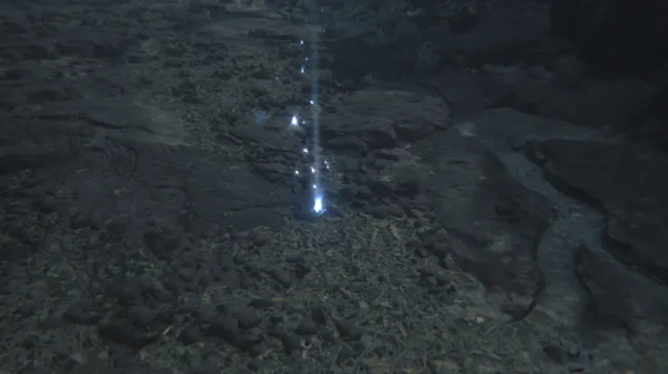 ของรางวัล