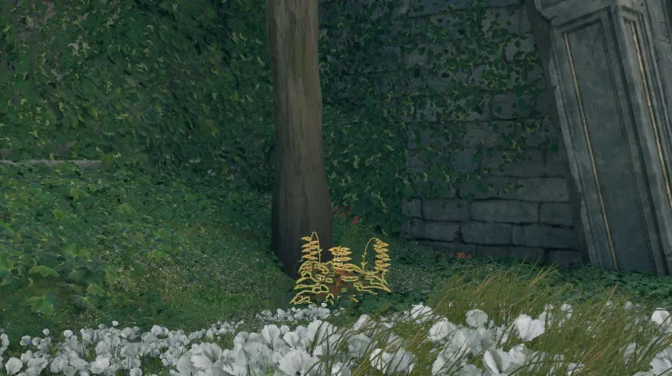 स्वर्गीय सीढ़ी