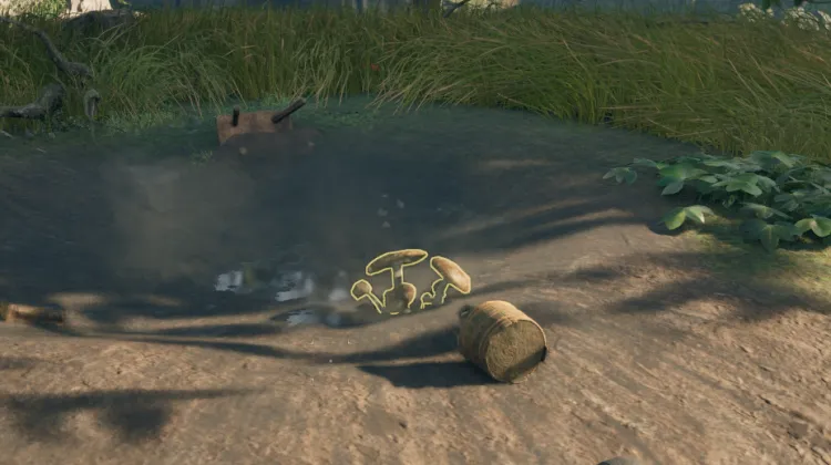 หญิงที่ถูกเผา