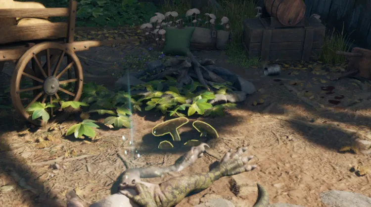 หญิงที่ถูกเผา