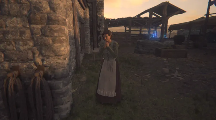 While the Cat's Away