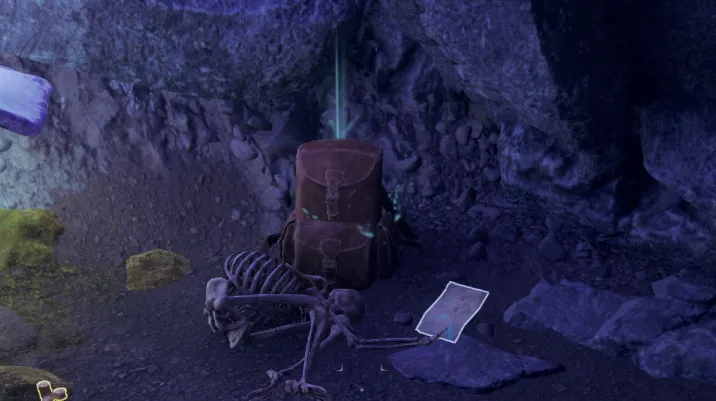 Note to the Survivor