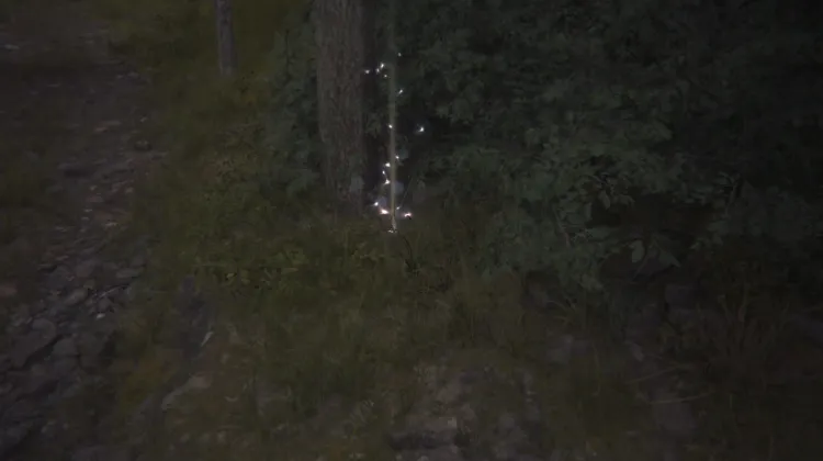 ไอเทมหยิบเก็บ