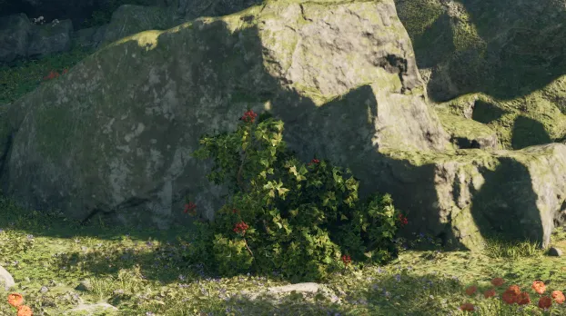 สปริงเบอร์รี่