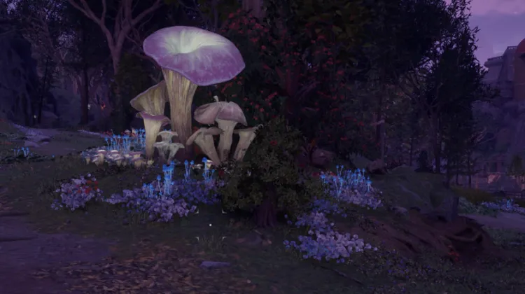 สปริงเบอร์รี่