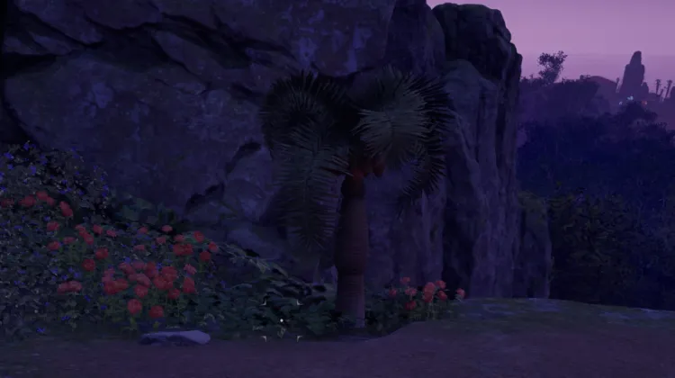 หินปาล์ม