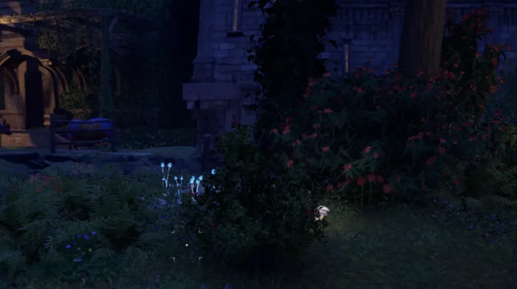 สปริงเบอร์รี่