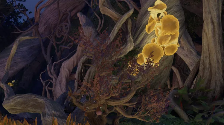 เมลอนหัวใจสลาย