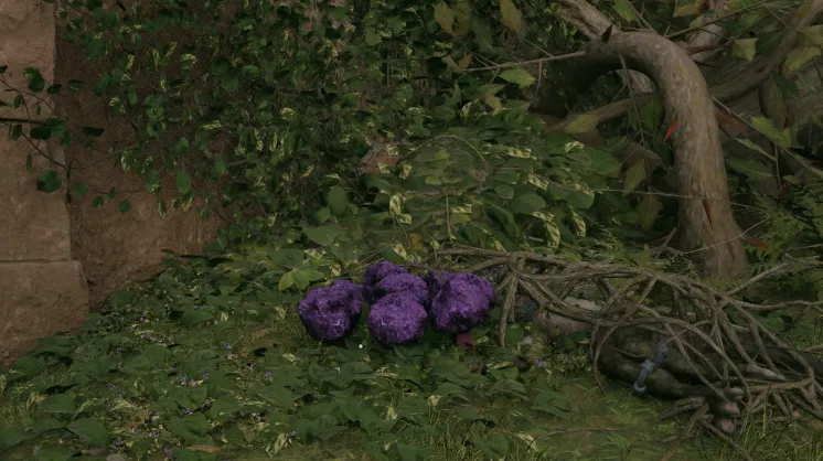 สปันจ์วิญญาณ