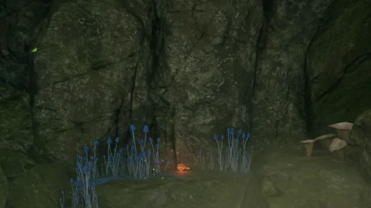 ยาฟื้นฟูสุขภาพ