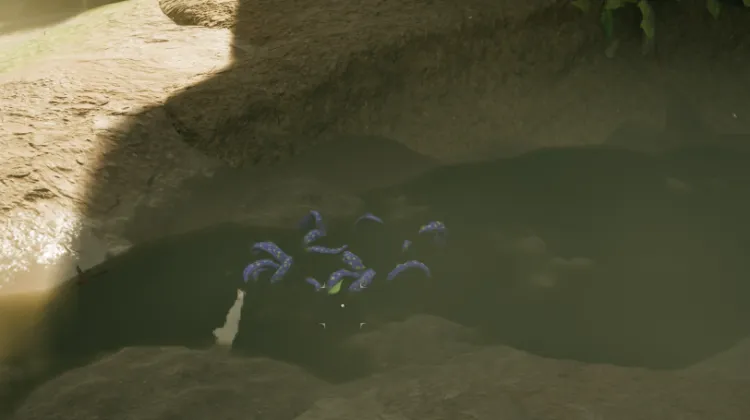 เขากรากเค่น