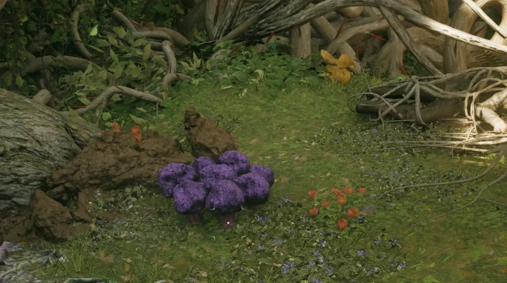 สปันจ์วิญญาณ