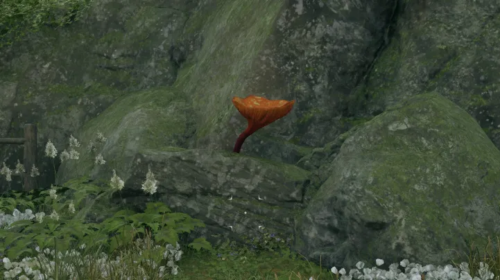 พรของแมกแรน