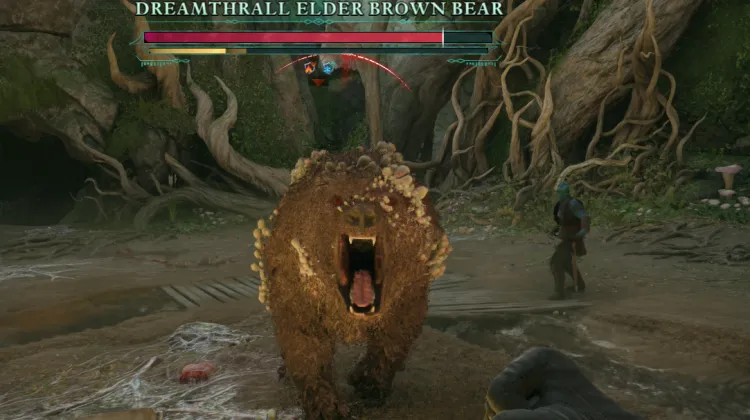 Traumsklave Alter Braunbär