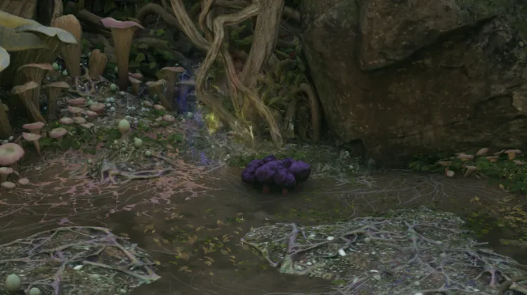 สปันจ์วิญญาณ