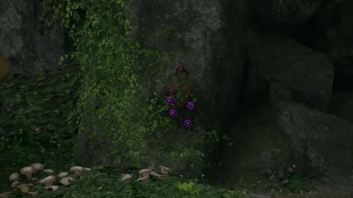 Baccello dell'Anima Dimenticata