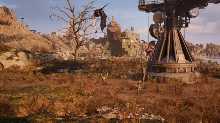 Flügelläufer & Kapparranke