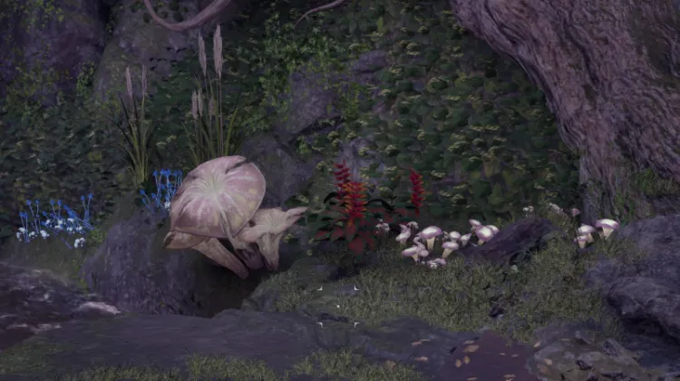 स्वर्गीय सीढ़ी